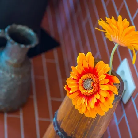 Viva La Vida Σπίτι διακοπών *