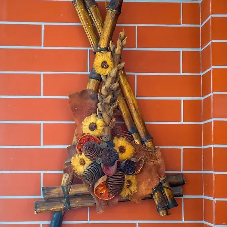 Viva La Vida Σπίτι διακοπών Kosor