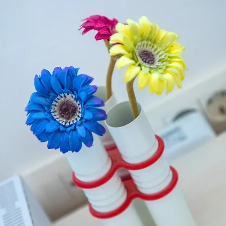 Viva La Vida * Kosor